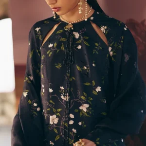 Alternative view of Zeyara